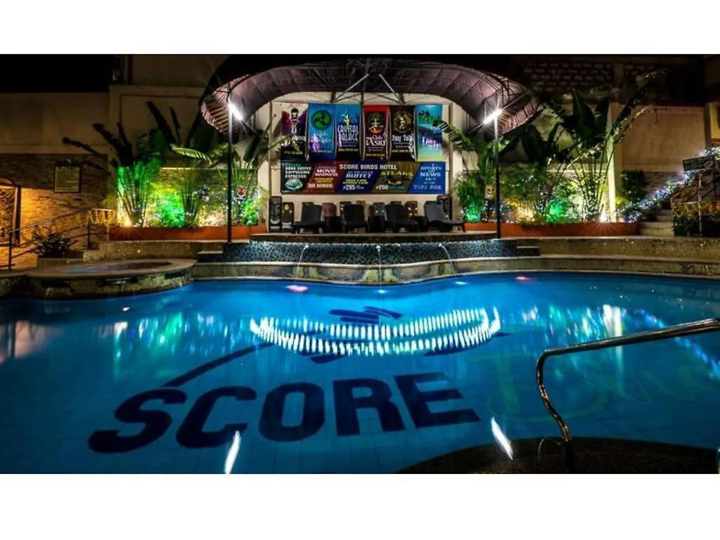 Score Birds Hotel Ángeles